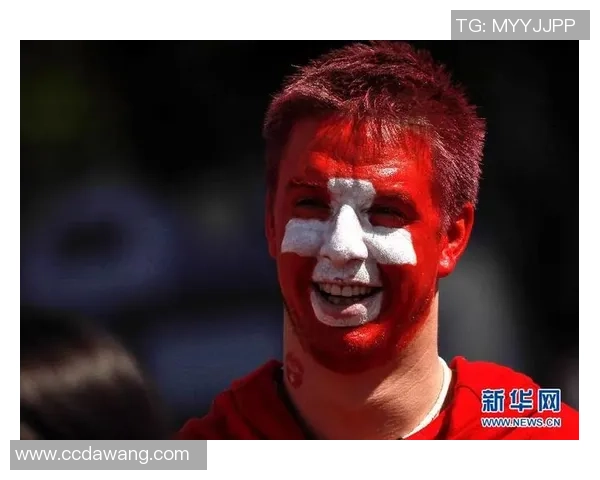 足球星卡知识普及率分析及其在球迷群体中的影响力探讨